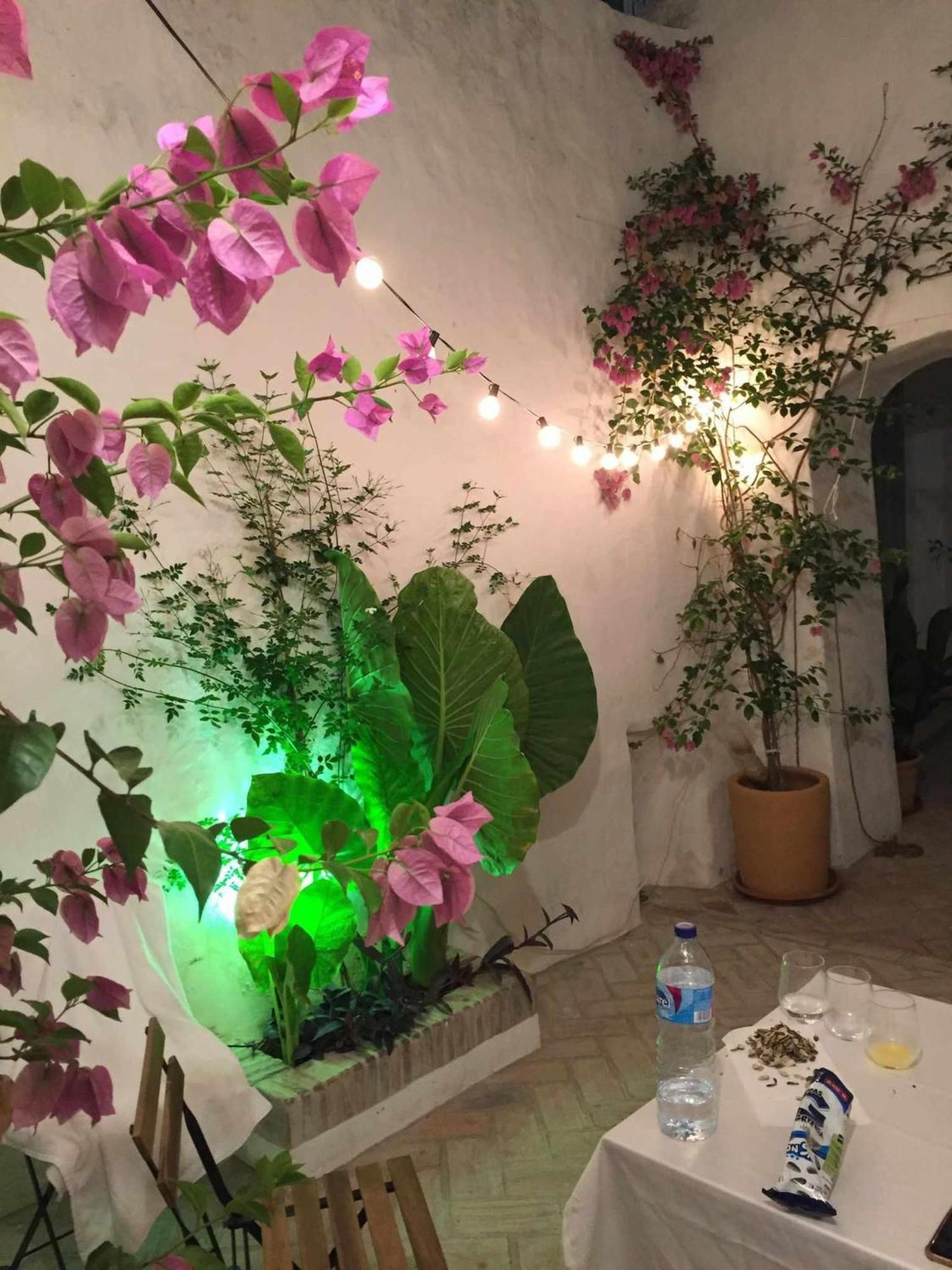 Antiqua Centro De Vejer Con Wifi Grupo Ac Gestion Villa Vejer de la Frontera Dış mekan fotoğraf