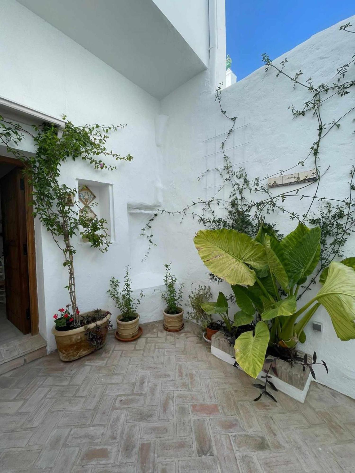 Antiqua Centro De Vejer Con Wifi Grupo Ac Gestion Villa Vejer de la Frontera Dış mekan fotoğraf